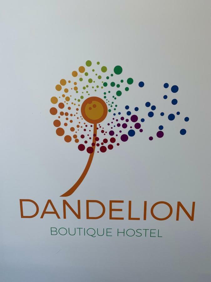 Dandelion Hostel ซาดาร์ ภายนอก รูปภาพ