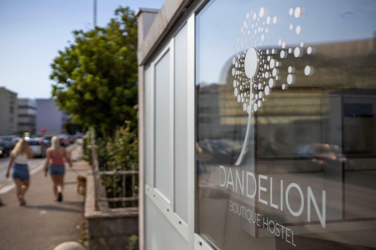 Dandelion Hostel ซาดาร์ ภายนอก รูปภาพ