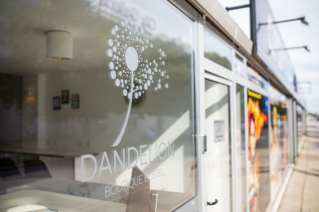 Dandelion Hostel ซาดาร์ ภายนอก รูปภาพ